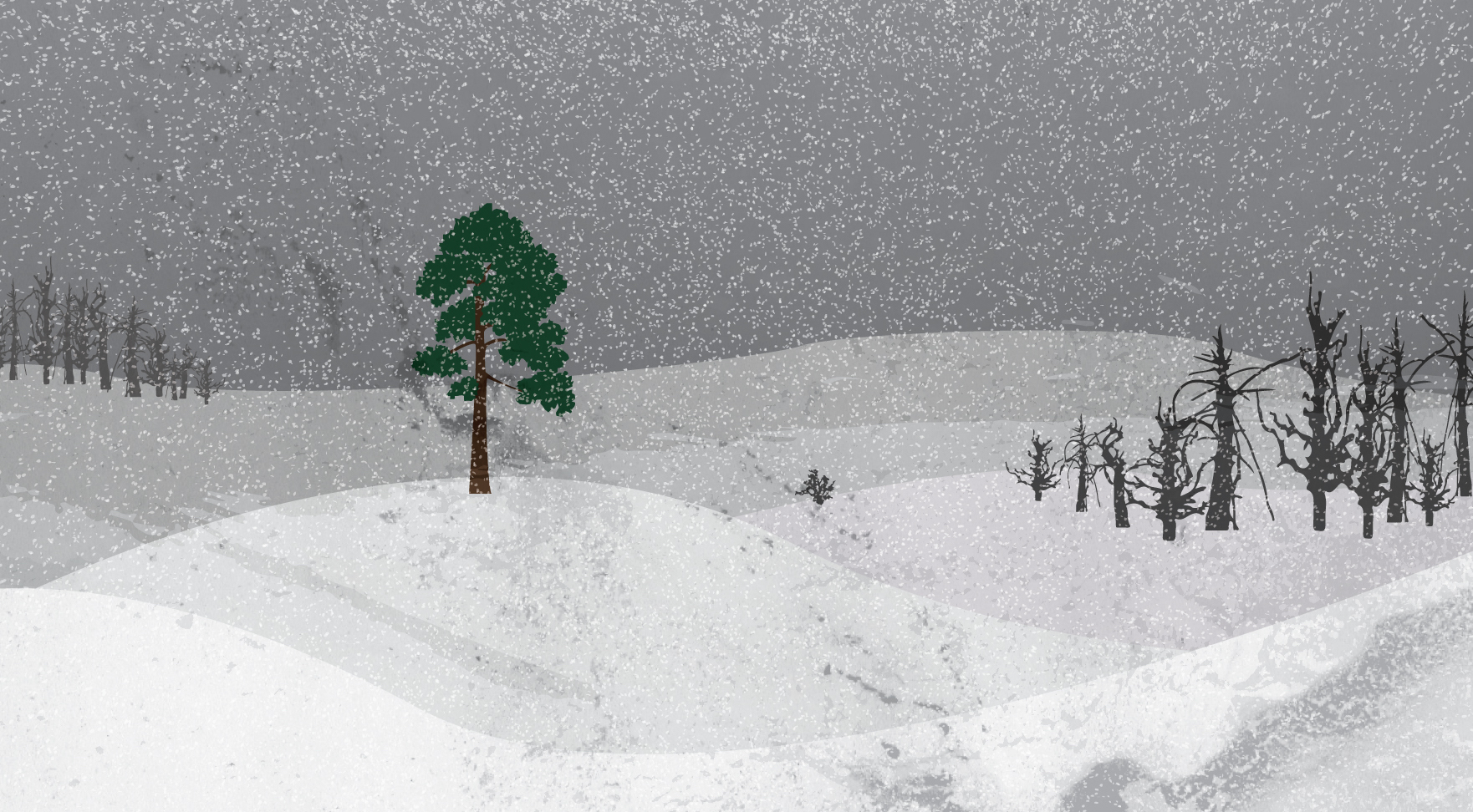 Doubt, Unknowing, & Audrey Assad’s New Album “Evergreen”